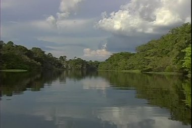 Nehri üzerinde bir tekne turu ormandan görünümünü