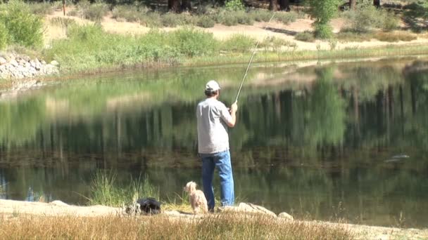 Pescador en el lago en un día soleado — Vídeo de stock