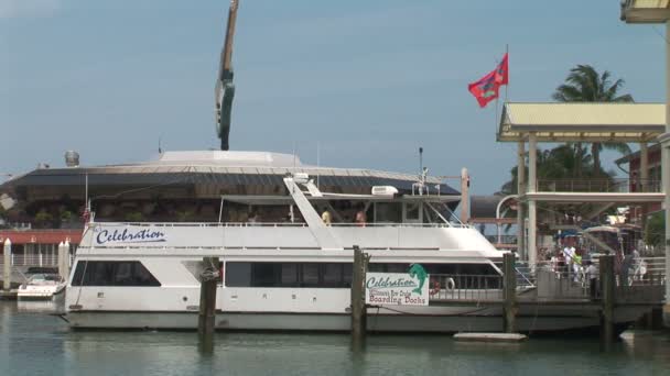 Bayside yacht a Miami — Video Stock