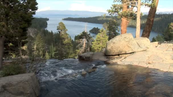 Small Stream at Lake Tahoe — Stock Video