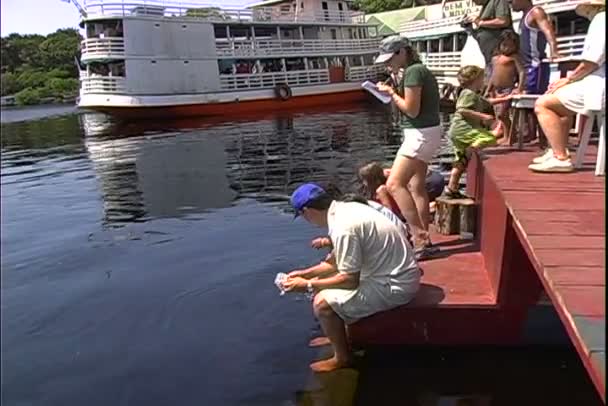 Людей кормят дельфином в воде — стоковое видео