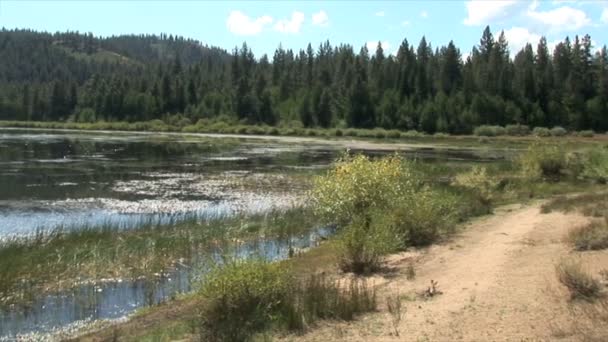 Spooner Lake in mountains — Stock Video