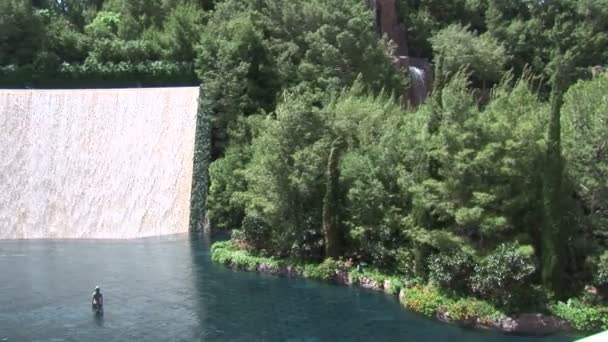 Las Vegas Watertfall — Stok video