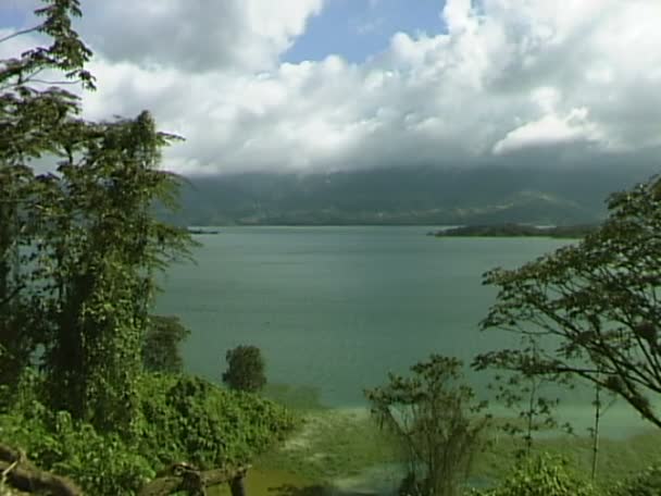 Lago en bosque tropical — Vídeo de stock