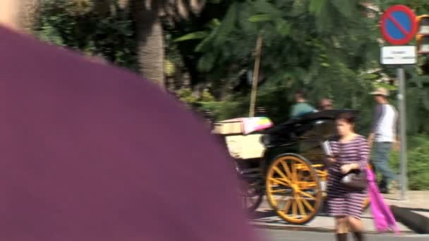 马车在马拉加 — 图库视频影像