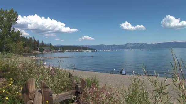 Tahoe City Beach near Park — Stock Video