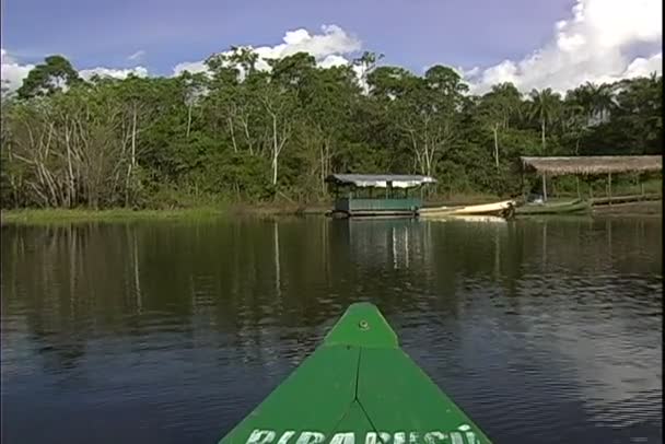 川のボートツアーに参加からジャングルのビュー — ストック動画