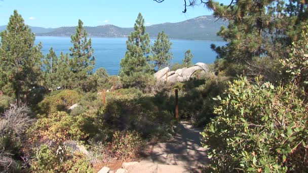 Caminhadas no Lago Tahoe — Vídeo de Stock
