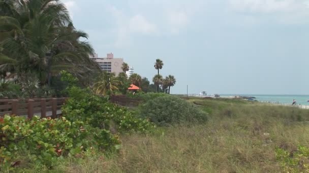 Passerella sulla spiaggia di Miami — Video Stock