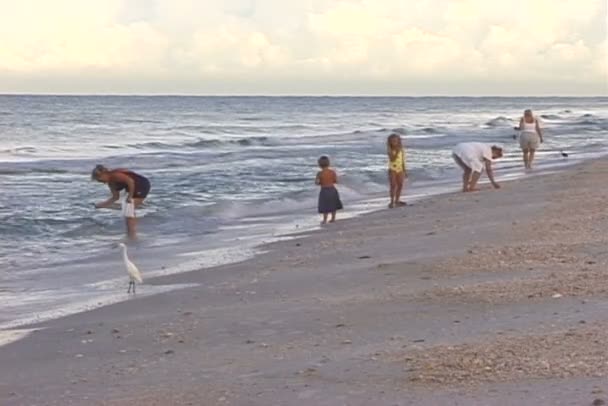 Άνθρωποι ανάπαυση στην παραλία — Αρχείο Βίντεο