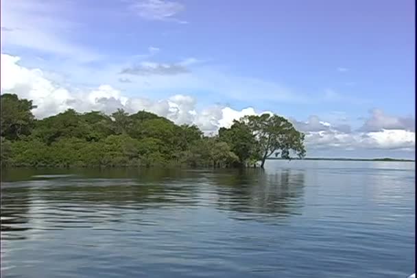 Paseos en barco por el río Amazonas — Vídeo de stock