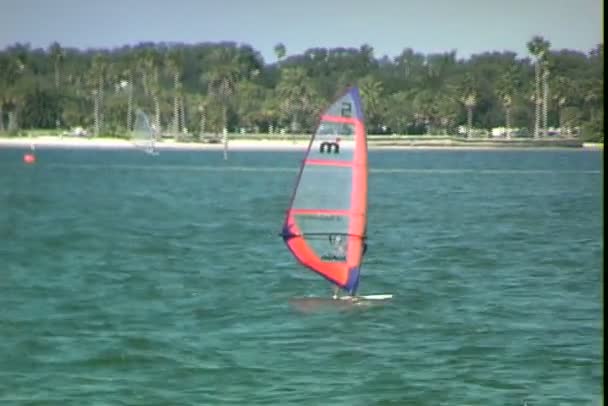 Windsurfer zwemmen in water — Stockvideo