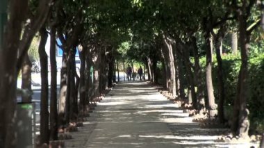 İspanya Malaga şehir