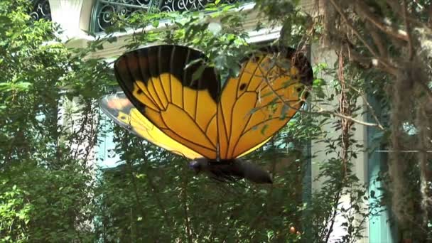Передвижной знак бабочки — стоковое видео
