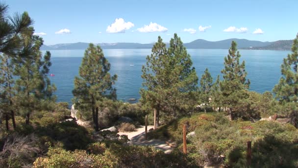 Wandelpad op Lake Tahoe — Stockvideo