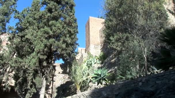 Alcazaba Fortess con Pini — Video Stock