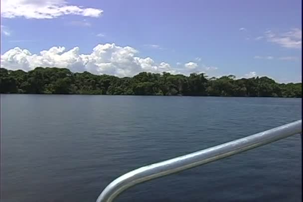 Båtturer på Amazonas floden — Stockvideo