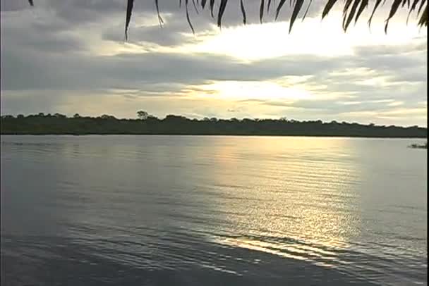 Rio Negro i solnedgången — Stockvideo