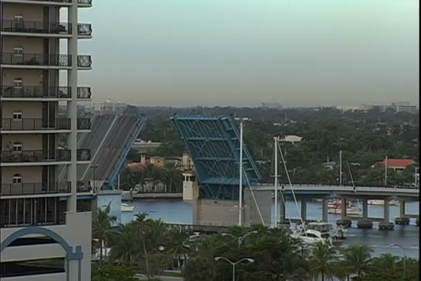 Strand brug in Miami — Stockvideo