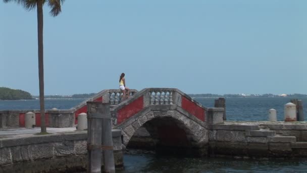 Ponte del bacino di Vizcaya — Video Stock