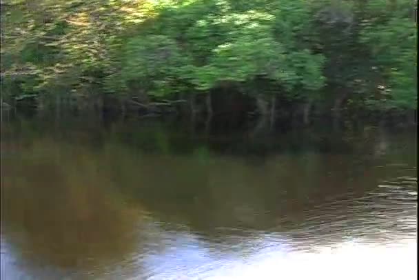 Amazonas Nehri üzerinde tekne rides — Stok video