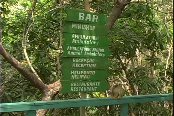 Signs at walkway in tropical forest — Stock Video