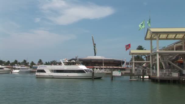 Bayside yacht di Miami — Stok Video