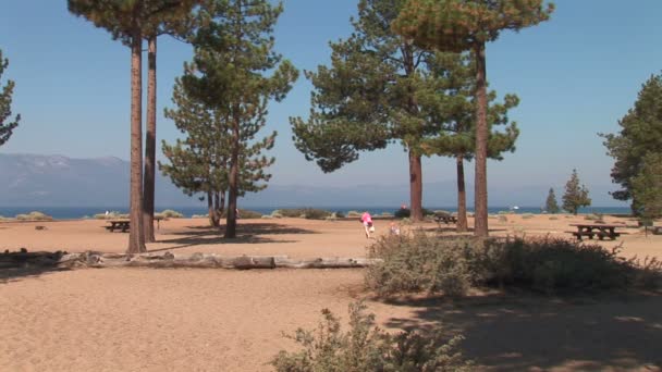 Nevada Beach Park ziemi — Wideo stockowe