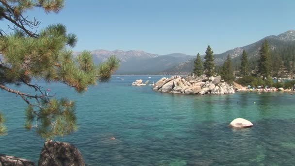 Çam ağaçları, Lake Tahoe — Stok video