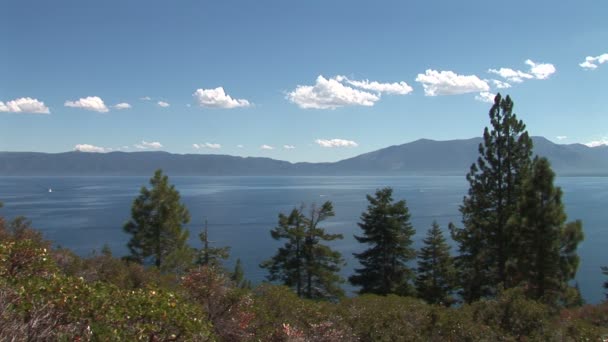 Vista sobre el lago Tahoe desde el parque — Vídeo de stock