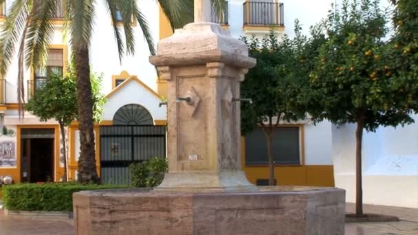 Marbella kyrkan innergården med fontän — Stockvideo