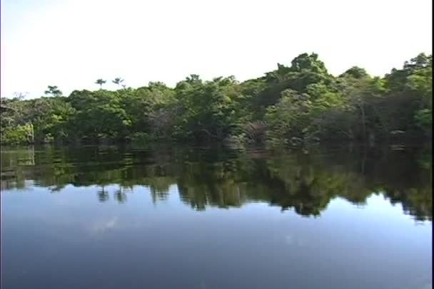 Paseos en barco por el río Amazonas — Vídeos de Stock