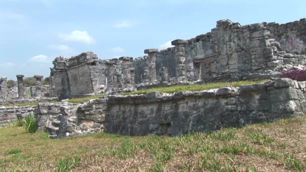 Ruiny świątyni Tulum — Wideo stockowe