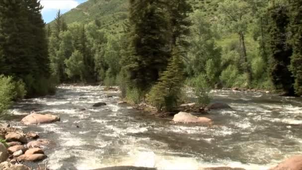 Arkansas mountain river stream — Stock Video