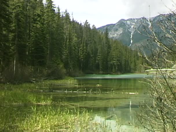 Olive Lake durante o dia — Vídeo de Stock