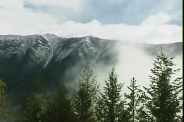 Yüksek ağaçları ile bulutlu dağ