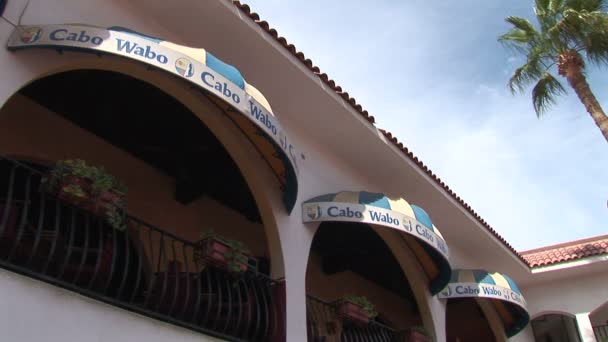 Cabo Wabo szórakozóhely — Stock videók
