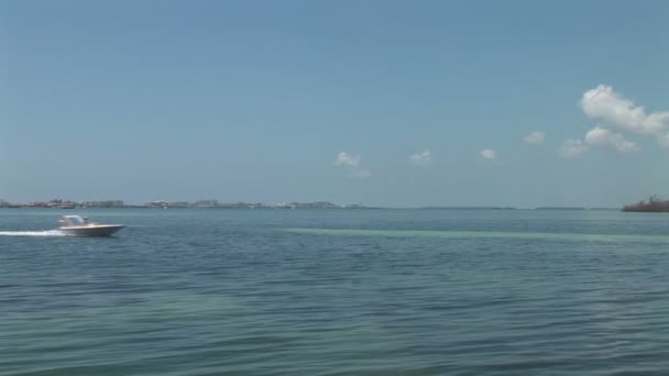 Een speedboot in de wateren in de buurt van Cancun — Stockvideo