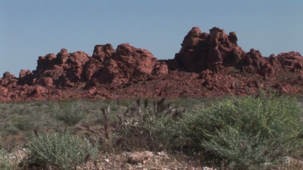 Red Rock Canyon — Stock Video