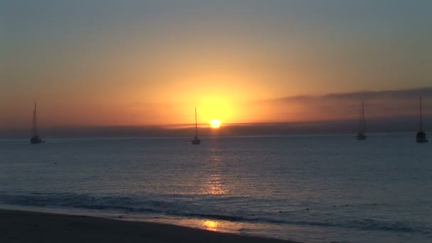 Boats in sea at sunrise — Stock Video