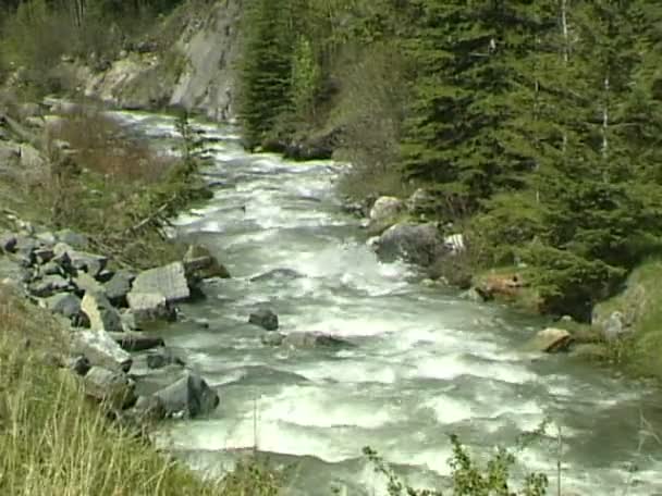 Carretera Corriente de cascada — Vídeos de Stock