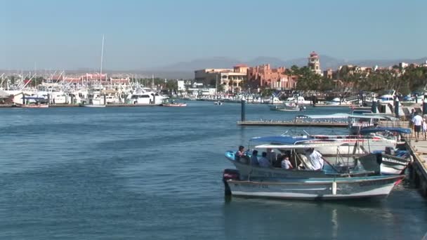 Uma marina no Cabo San Lucas — Vídeo de Stock