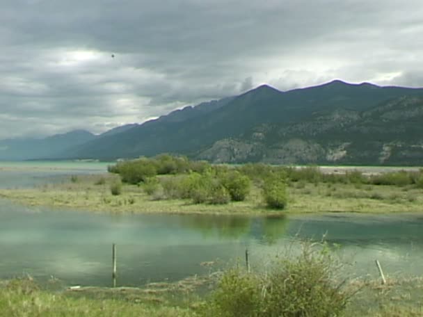 Canale del lago Columbia — Video Stock