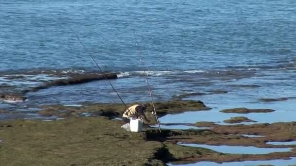 Cadiz Pescatore sulla costa — Video Stock