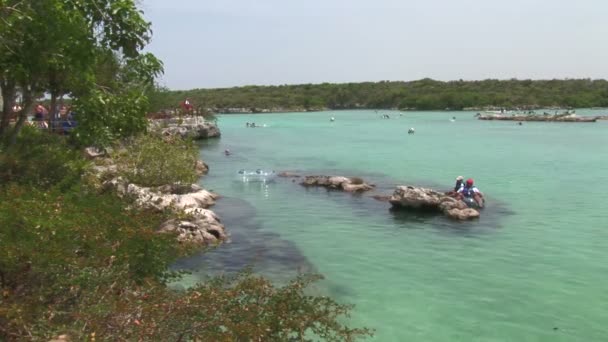 Xel Ha Cove i Mexiko — Stockvideo