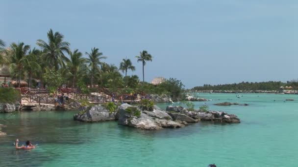 Xel Ha Shore in Messico — Video Stock