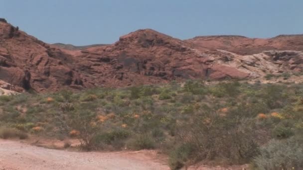 Formazione rocciosa nel deserto — Video Stock