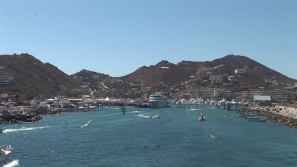Un puerto deportivo en Cabo San Lucas — Vídeo de stock