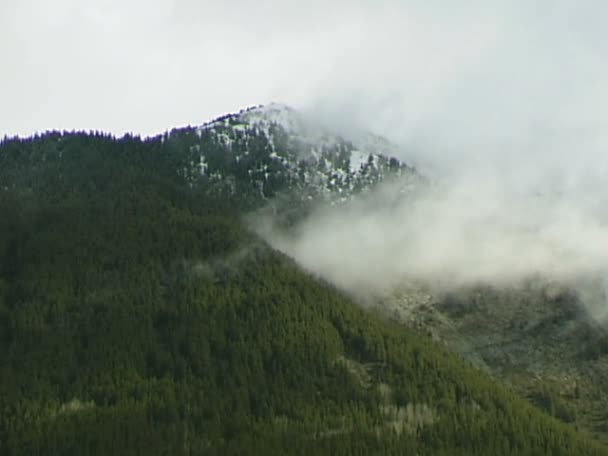Bewolkt bergen met pijnbomen — Stockvideo
