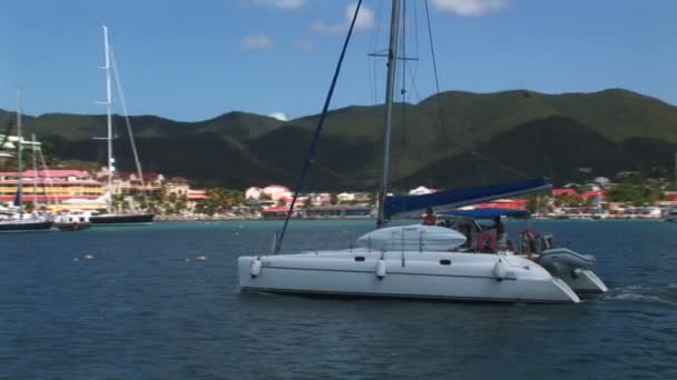 Catamaran swimming in water — Stock video